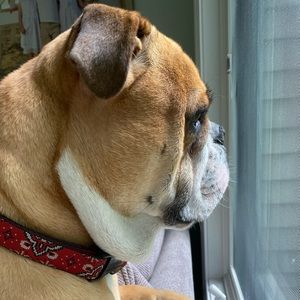 Meet your Posher, Rory